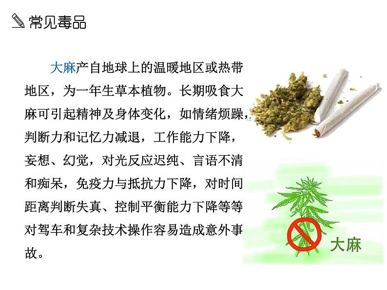 珍爱生命，远离毒品禁毒安全教育主题班会PPT课件07