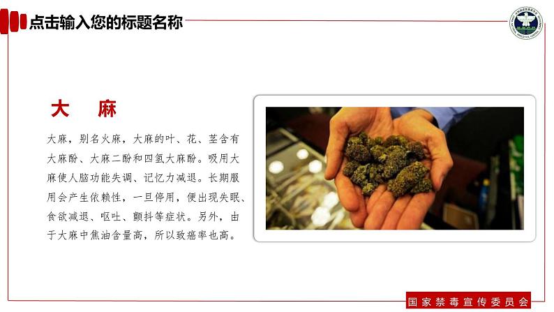 禁毒预防教育PPT第6页