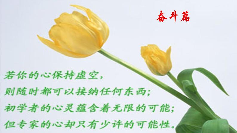 中小学生励志主题班会课件《奋斗成就梦想》第5页