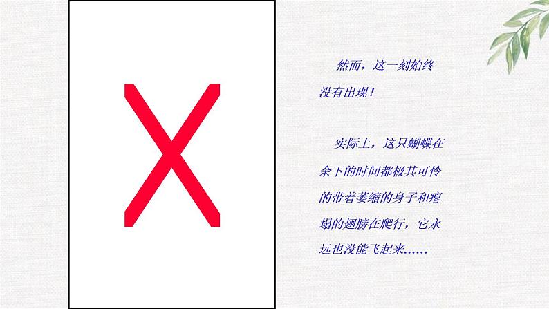 中小学生励志主题班会课件《蝴蝶启示》第6页