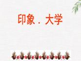 高中学生励志主题班会课件《印象 ．大学》