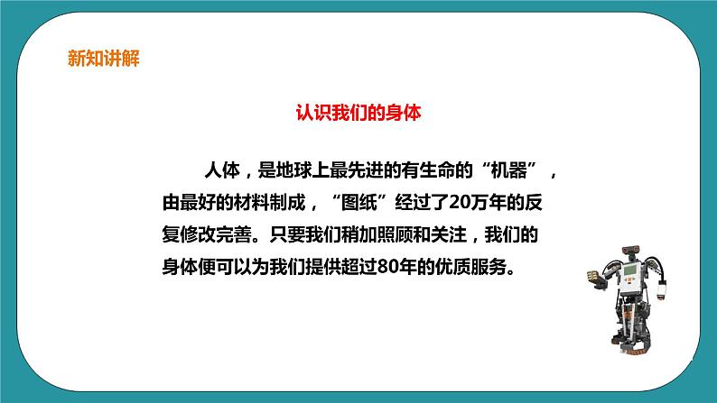 1《奇妙的身体》 课件+教案 生命教育3年级04