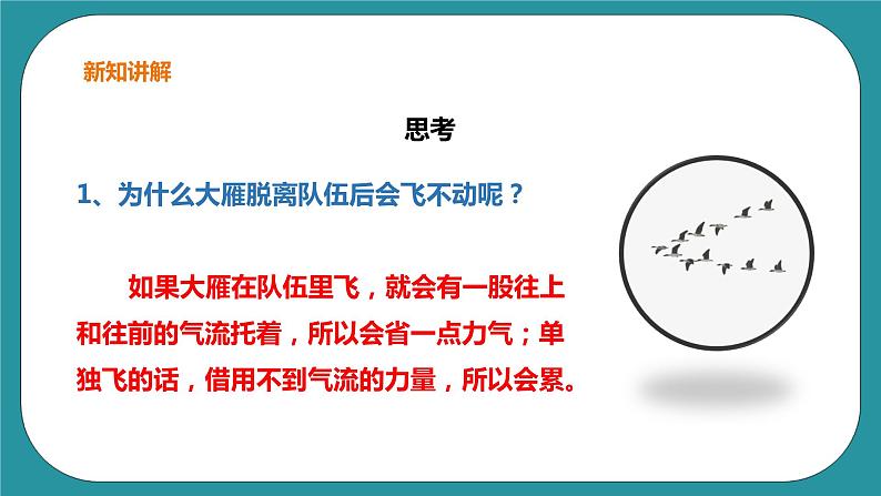 生命教育 三年级第二单元第一课时《我和你》课件第5页