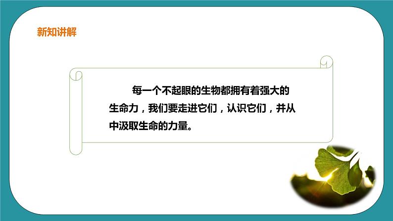 生命教育 三年级第三单元第一课时《种子的力量》课件第3页