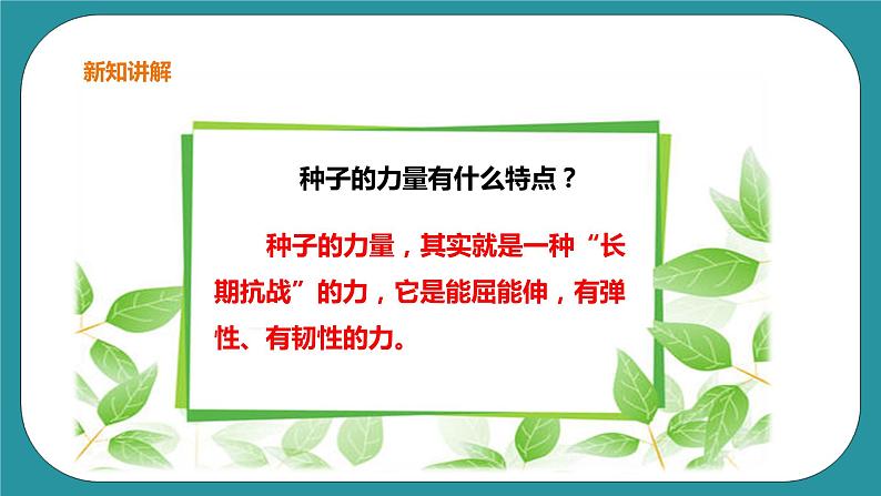 生命教育 三年级第三单元第一课时《种子的力量》课件第6页