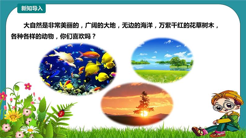 第12课《常见眼病及预防》 课件+教案 川教版生命生态安全六年级02