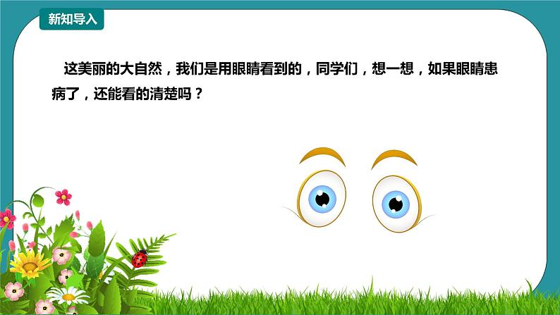 第12课《常见眼病及预防》 课件+教案 川教版生命生态安全六年级03