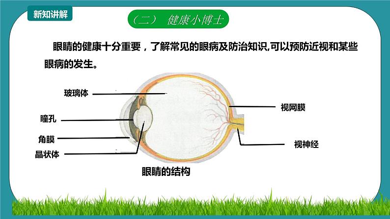 第12课《常见眼病及预防》 课件+教案 川教版生命生态安全六年级05