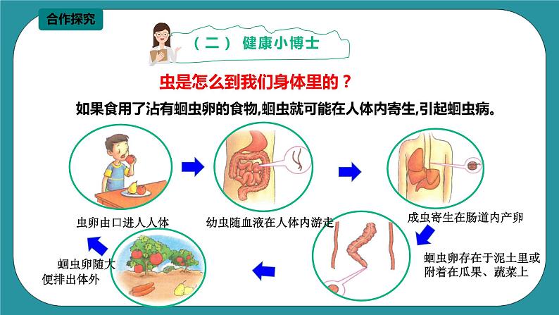 第11课《预防蛔虫病》课件+教案 川教版生命生态安全四年级06
