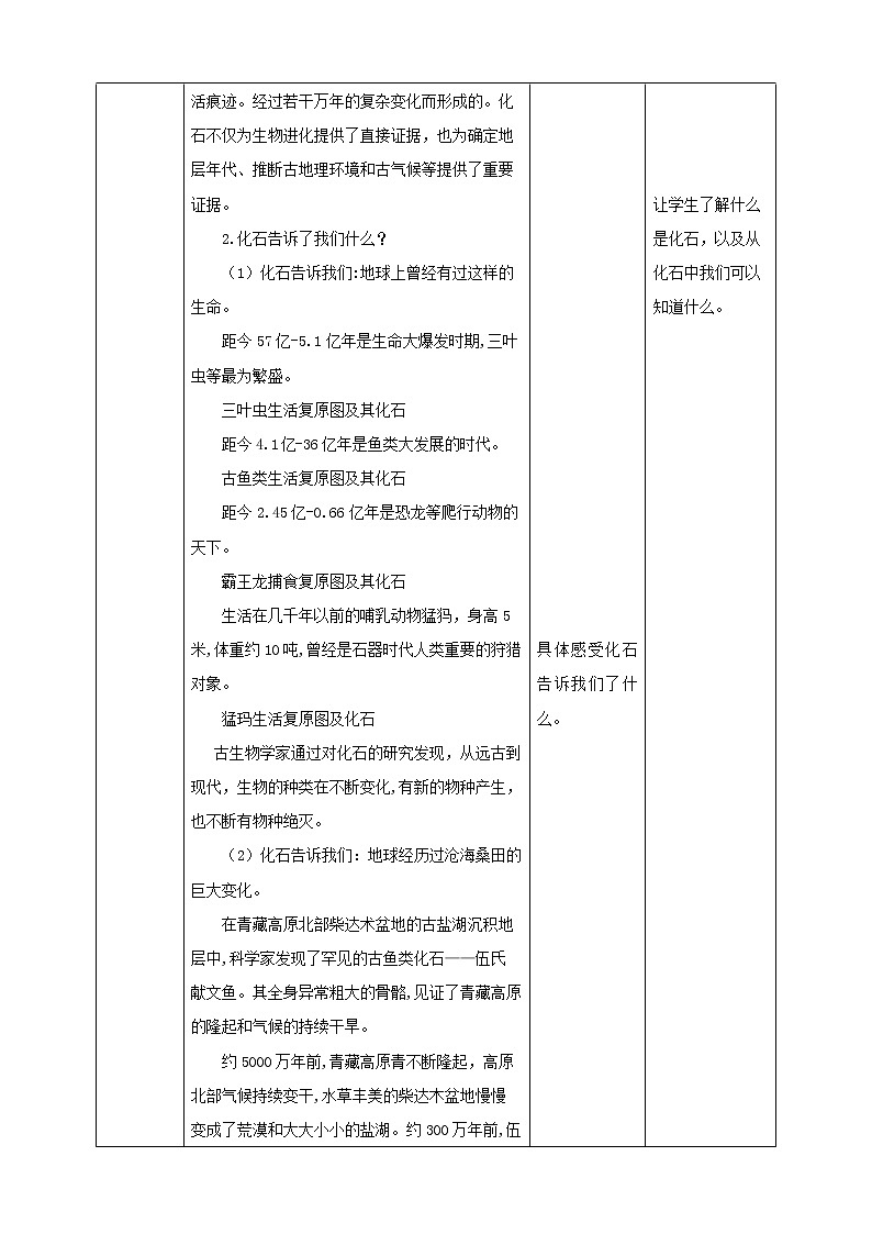 第1课《化石的故事》课件+教案+素材 川教版生命生态安全五年级02