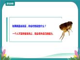 第17课《学习中的烦心事》课件+教案+素材 川教版生命生态安全五年级
