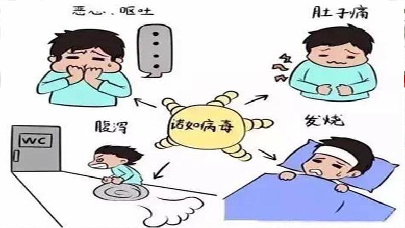 预防诺如病毒感染——主题班会课件第8页