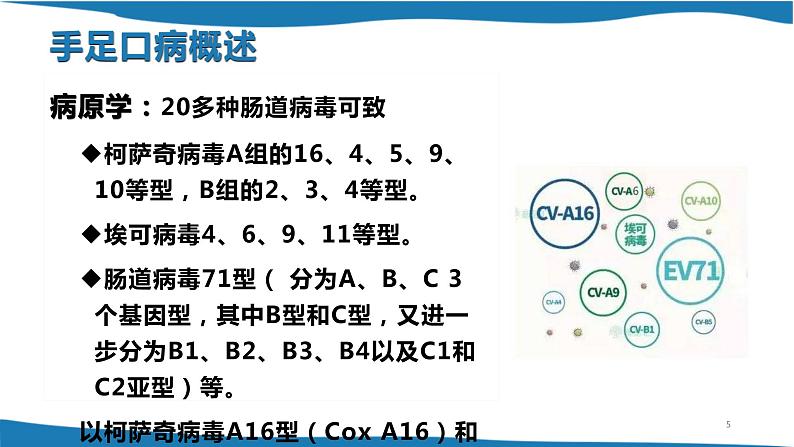 手足口疫情防控课件05