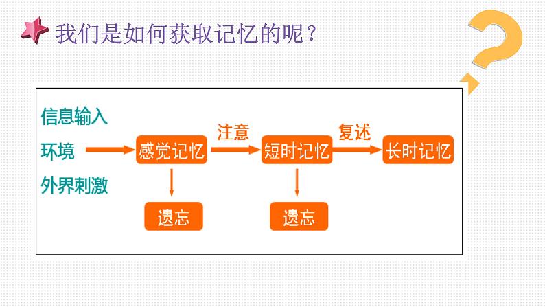 打开记忆之门（主题班会课件）第3页