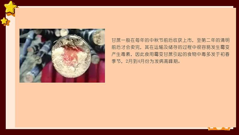 【健康科普】毒甘蔗上线严重或可致命！（课件）小学生食品安全主题班会第3页