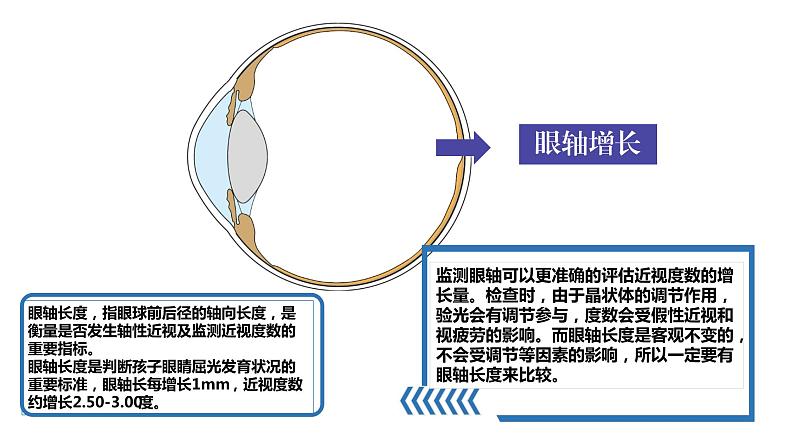 近视防控主题班会课件PPT第8页