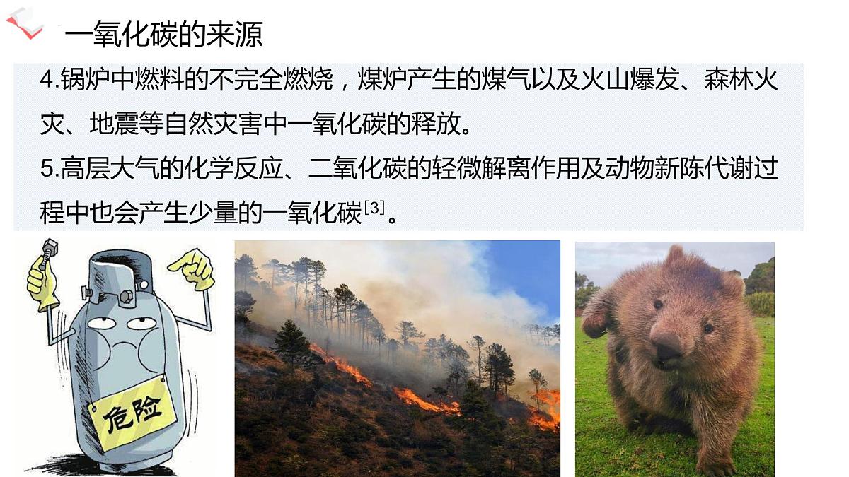 一氧化碳中毒班会课件第6页