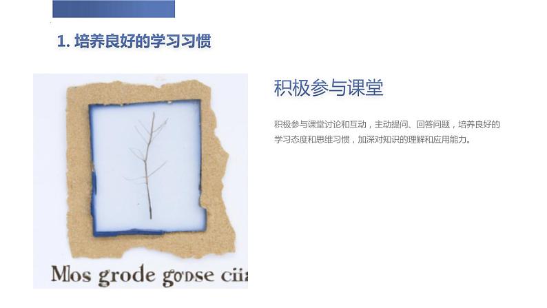 行规你我知习惯你我晓九年级主题班会通用课件第7页