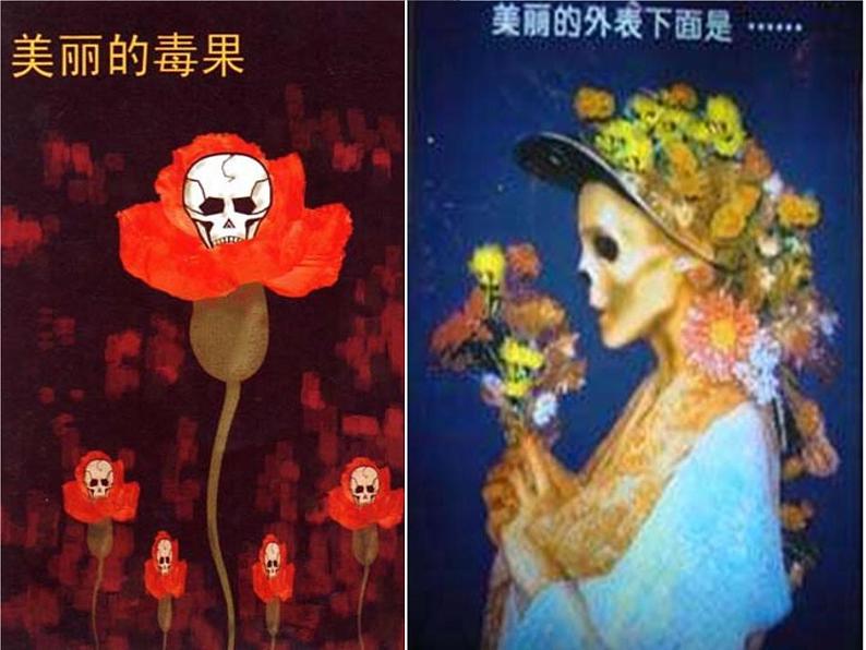 《珍爱生命，拒绝毒品》主题班会 课件第3页