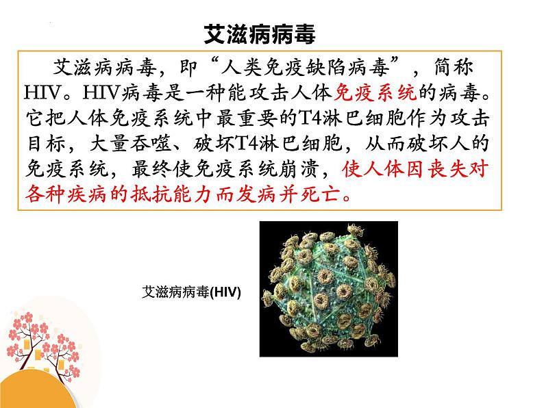 携手防疫抗艾,共担健康责任 班会课件04