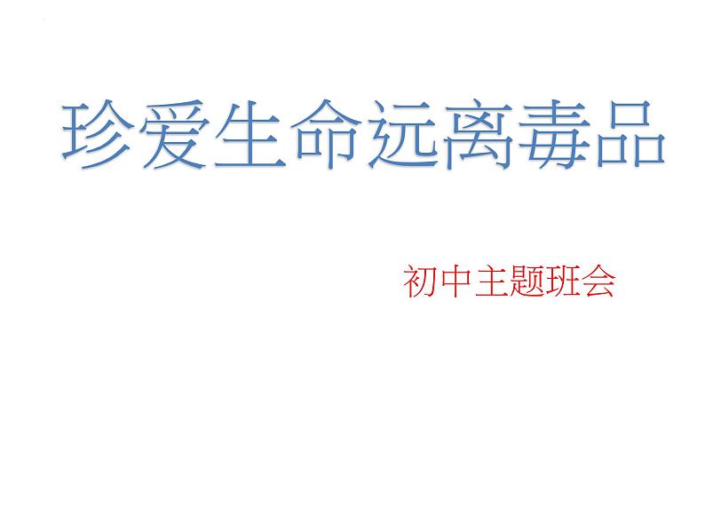 禁毒教育 初中主题班会课件第1页