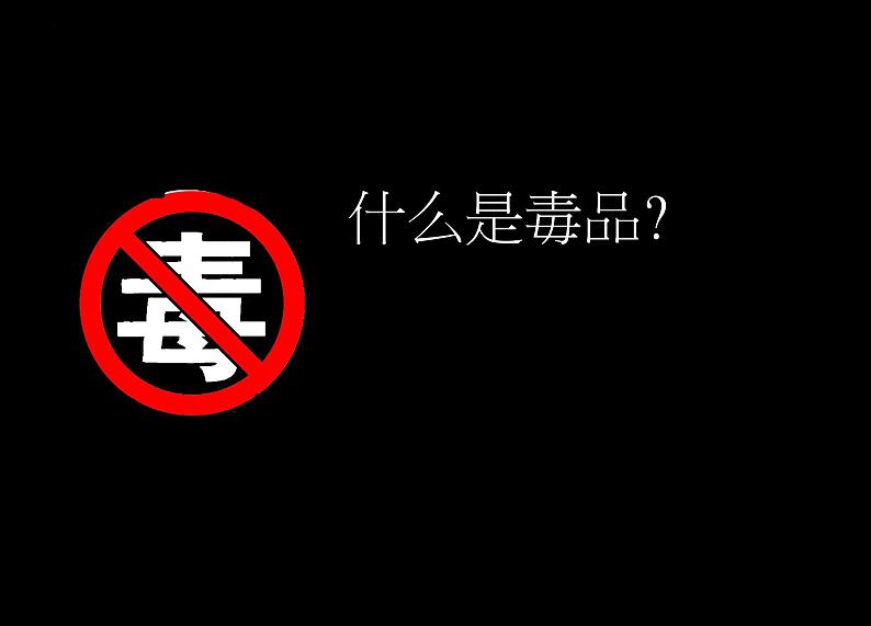 禁毒教育 初中主题班会课件第5页