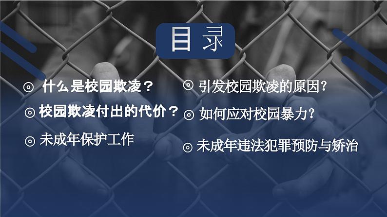 预防未成年人犯罪法制教育  法制教育主题班会课件02