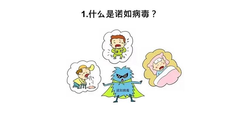 中小学安全教育主题班会课件《诺如病毒预防知识课件》第2页