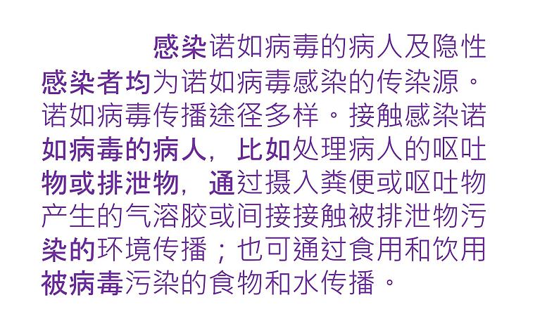 中小学安全教育主题班会课件《诺如病毒预防知识课件》第5页