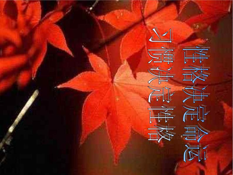 中小学文明礼仪主题班会课件《告别陋习走向文明》第2页