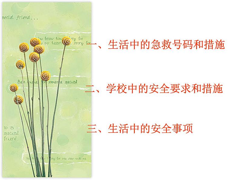 中小学安全教育主题班会课件《我们身边的安全ppt》第5页