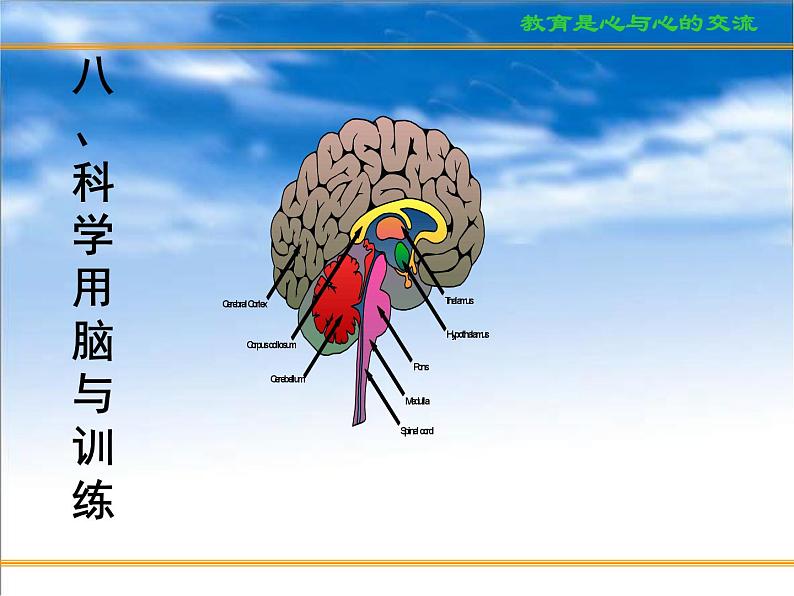 进入高三与高考备考冲刺动员主题班会课件之科学用脑、心态调整和考前家长心态02