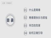 中学生青春期早恋主题班会精品课件