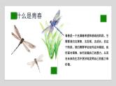中学生青春期早恋主题班会精品课件