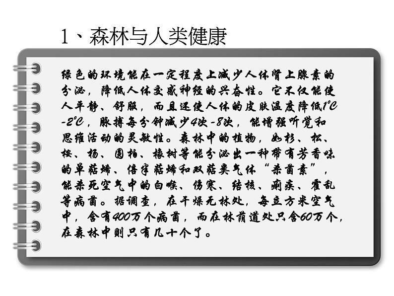 保护森林主题班会课件PPT第3页