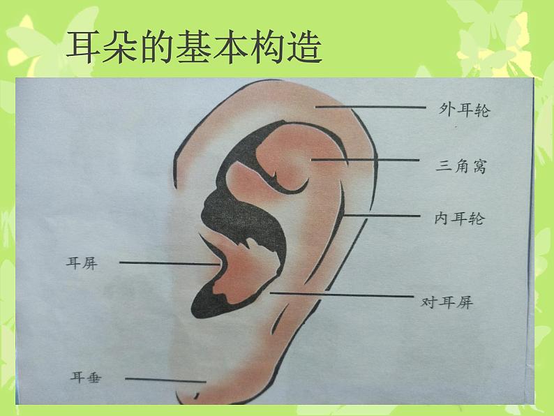 14第十四周：健康保护耳朵（课件）第4页