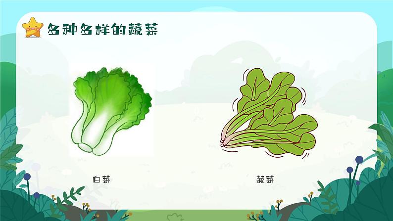 5第五周：认识各种蔬菜主题班会（课件）第5页