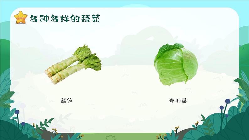 5第五周：认识各种蔬菜主题班会（课件）第6页