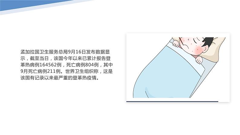 登革热多国近期高发、出现死亡病例（课件）-小学生安全教育主题班会06