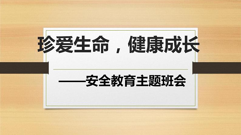 珍爱生命，健康成长  主题班会课件PPT01