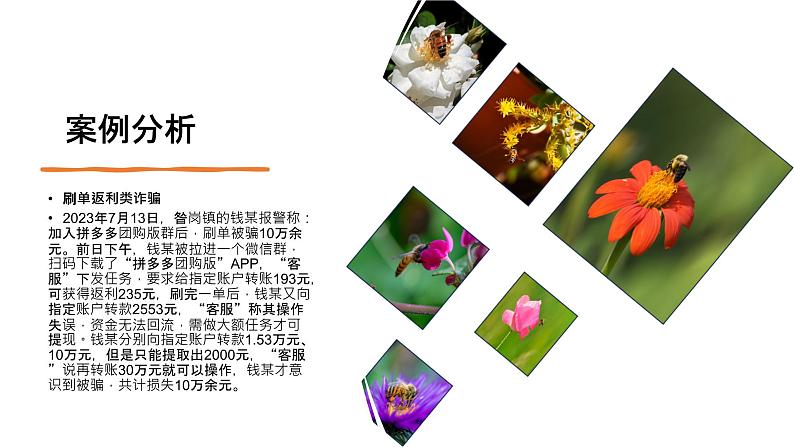 预防网络诈骗主题班会含视频讲解第5页