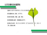 交通安全主題班會（含家長接送孩子安全教育）含視頻講解