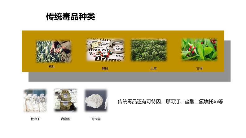 珍爱生命远离毒品主题班会含视频课件05