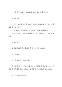 《珍爱生命，远离毒品》主题班会教案