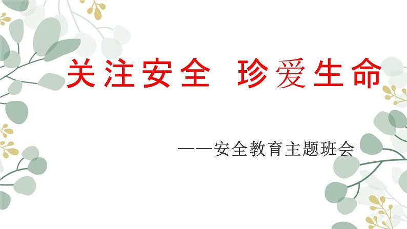 关注安全  珍爱生命-2023-2024学年初中主题班会优质课件第1页