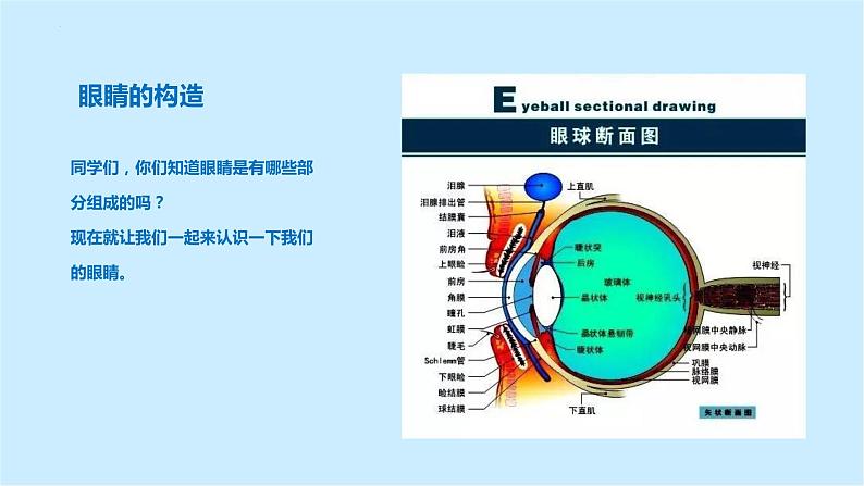 《爱眼护眼 点滴做起》预防近视预防近视课件05