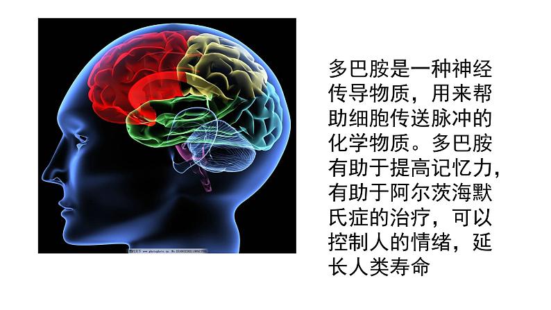 《发现你身边的美》主题班会课件第4页