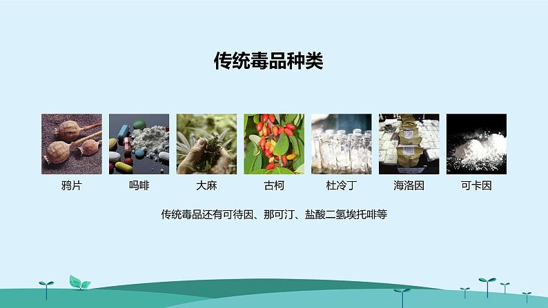 珍爱生命远离毒品教学课件PPT06