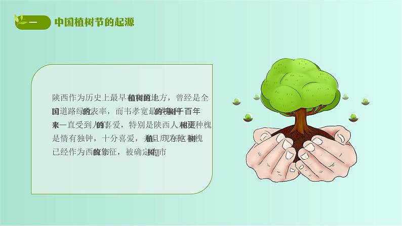 初中班会 中国植树节----“植”此青绿，拥抱春天 课件06