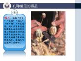 《健康人生綠色無毒》禁毒教育主題班會(huì)課件PPT